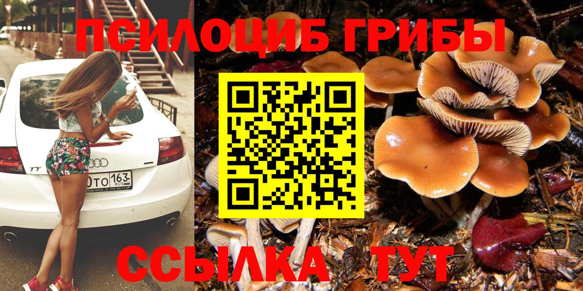 Псилоцибиновые грибы прущие грибы Карпинск