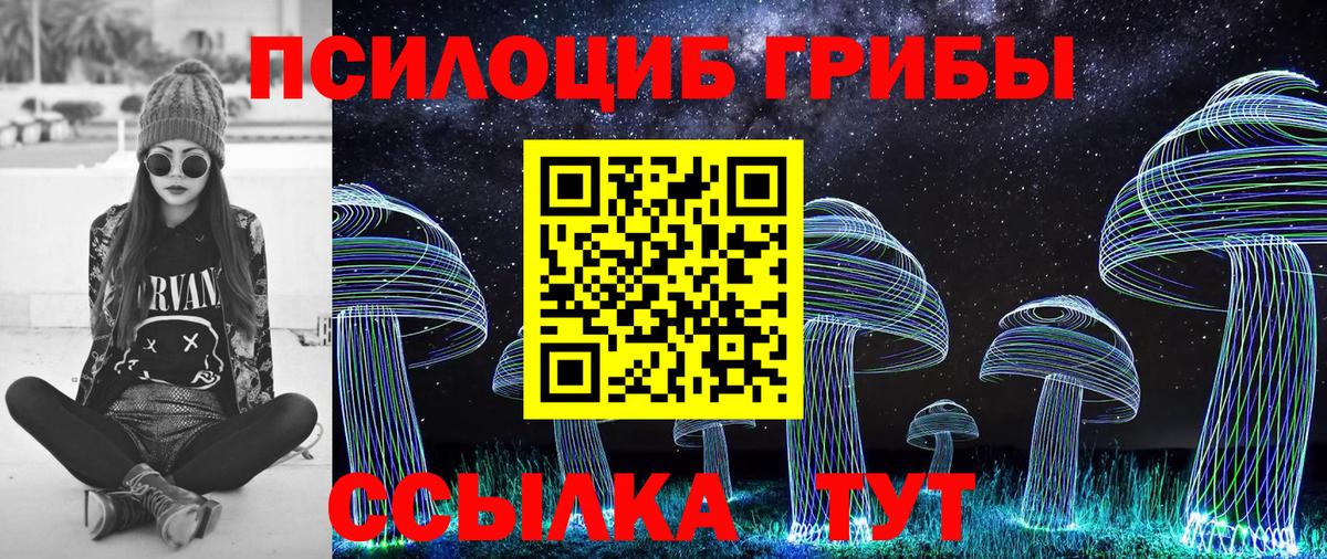 Карпинск  где найти   Вход с VPN  Галлюциногенные грибы прущие грибы 